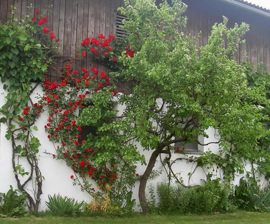 Goelsenhof - Fam. Buechinger Villa Wald  Екстериор снимка