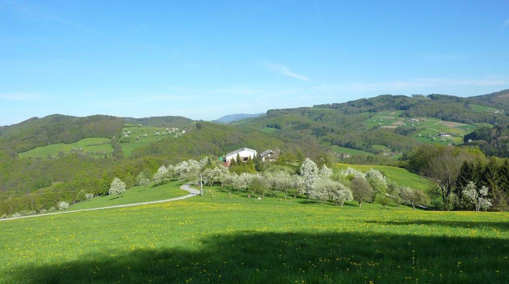 Goelsenhof - Fam. Buechinger Villa Wald  Екстериор снимка